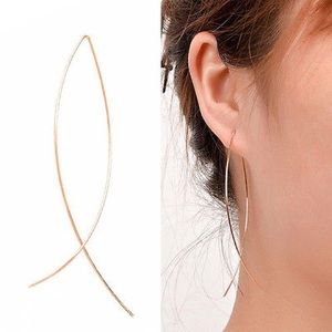 🆕 Fish Shaped Wire Hoop Long Earrings